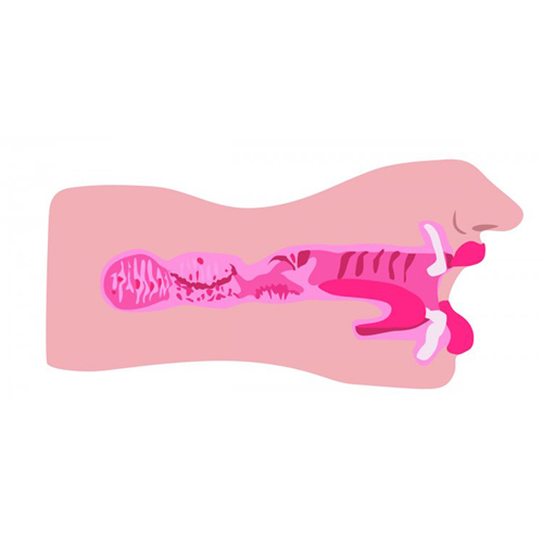 Sarah's Sexy Mouth Masturbator - Afbeelding 5